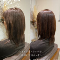 毎朝乾かしただけで自然なストレート