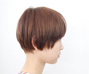 従来のカット写真